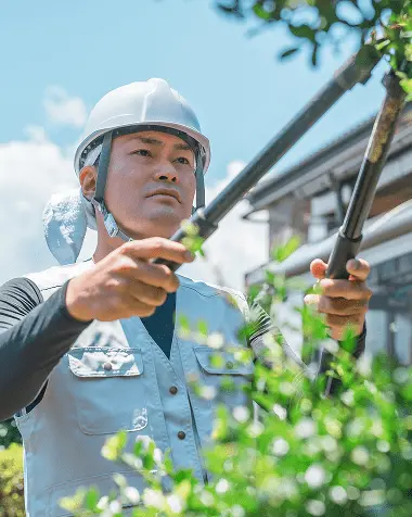 剪定ばさみを持つ造園業者、白いヘルメットを着用し屋外で植物の手入れ作業中