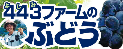 2025年ぶどう注文について